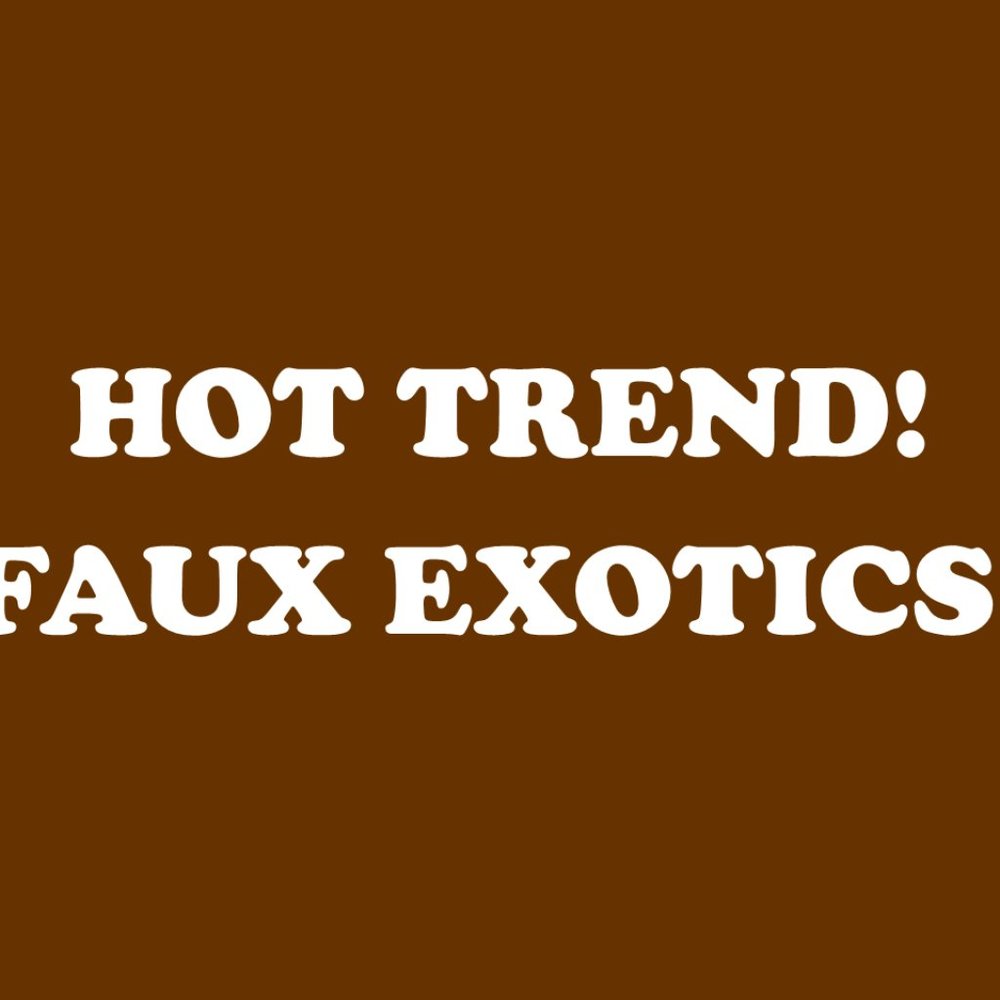 HOT TREND! FAUX EXOTICS!
